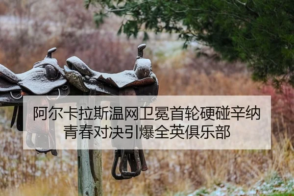 a-er-ka-la-si-wen-wang-wei-mian-shou-lun-ying-peng-xin-na-qing-chun-dui-jue-yin-bao-quan-ying-ju-le-bu-2-615.jpg