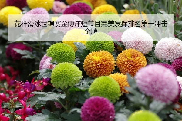 hua-yang-hua-bing-shi-jin-sai-jin-bo-yang-duan-jie-mu-wan-mei-fa-hui-pai-ming-di-yi-chong-ji-jin-pai-2-493.jpg