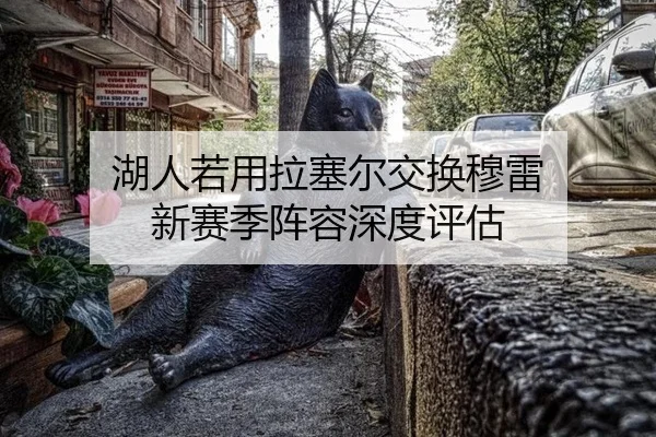 hu-ren-ruo-yong-la-sai-er-jiao-huan-mu-lei-xin-sai-ji-zhen-rong-shen-du-ping-gu-2-100.jpg